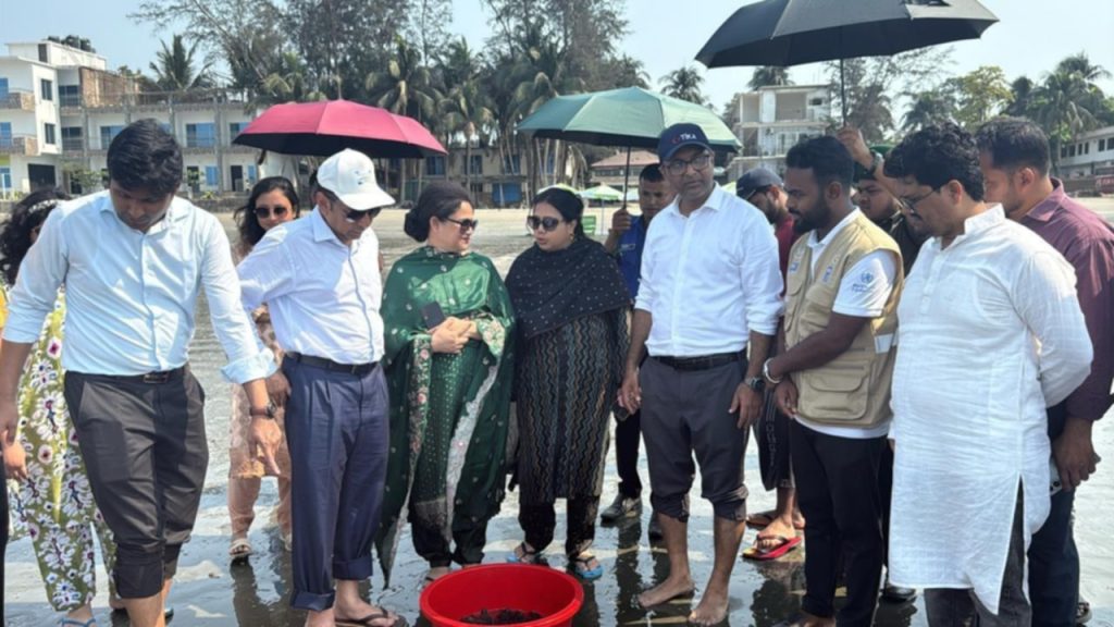 <span>টেকনাফে ৫৪৪টি কাছিমের ছানা সাগরে অবমুক্ত। / </span>টেকনাফে ৫৪৪টি কাছিমের ছানা সাগরে অবমুক্ত।