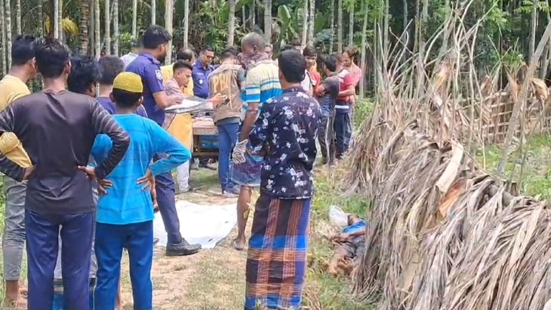 পিরোজপুরে রিক্সা চালককে হাতুড়ি দিয়ে পিটিয়ে নির্মমভাবে হত্যা।